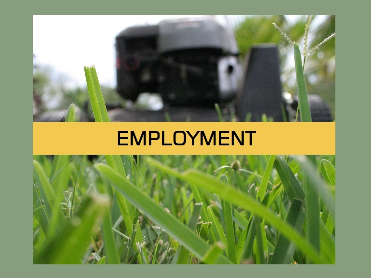 2026 Summer Student Employment, Town of Cut Knife