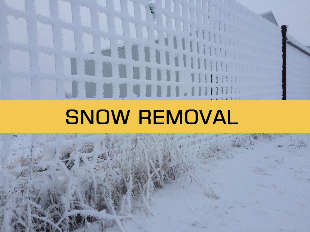 Update Snow Removal Bylaw, Town of Cut Knife Town of Cut Knife