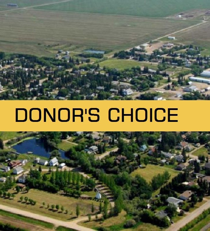 donors choice campaign
