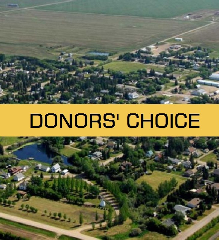 donors choice campaign